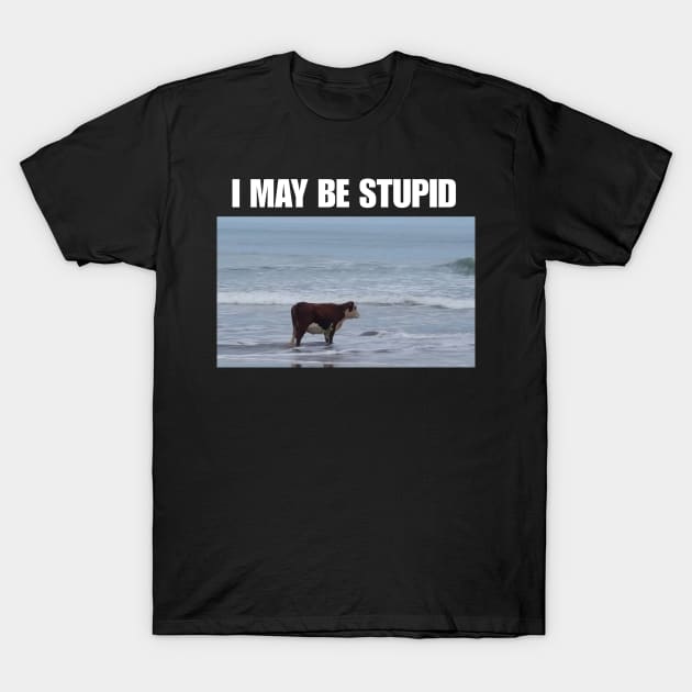 I May Be Stupid shirt meme T shirt funny shirt gag shirts I May Be Stupid T Shirt TeePublic